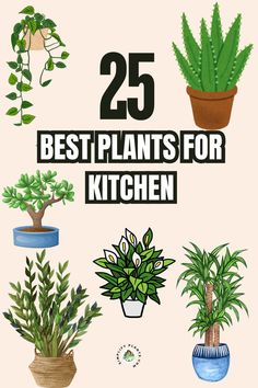 the 25 best plants for kitchen are featured in this book cover art print featuring potted plants