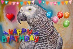 an image of a parrot with balloons on it's head and the words happy birthday