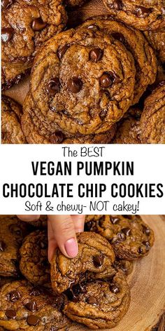 the best vegan pumpkin chocolate chip cookies