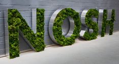 the words north are made up of green plants and leaves in front of a brick wall