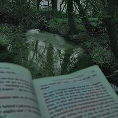 an open book sitting next to a river