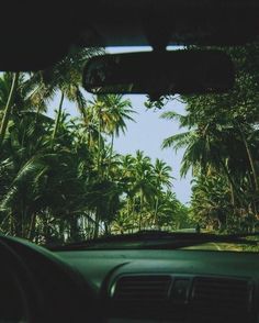 the view from inside a car looking out at palm trees