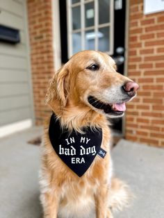 a dog wearing a bandana sitting in front of a door with the words i'm my bad dog era written on it