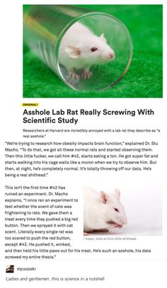 an article on how to get rid from rat in a glass bottle with the caption's description below