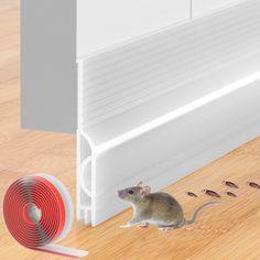 a mouse is sitting on the floor next to a red and white tape that has been placed in front of it