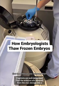 How embryologists thaw frozen embryos Fertility Journal, Fertility Help, Freezing Eggs, Liquid Nitrogen