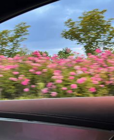 pink flowers are blooming in the distance as seen from inside a car