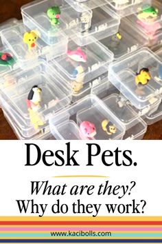 the words desk pets what are they? why do they work? in front of plastic containers