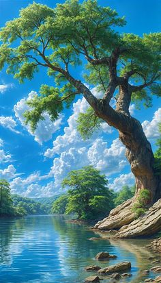 a painting of a tree on the edge of a body of water with rocks in front of it