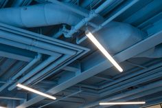 pipes and piping in an industrial building with blue light coming from the ceiling above