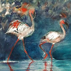 two flamingos are standing in the water