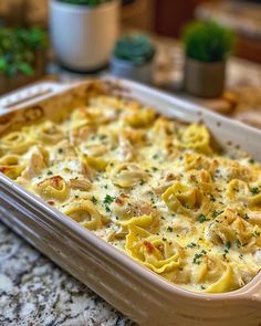 a casserole dish with pasta and chicken in it sitting on a kitchen counter