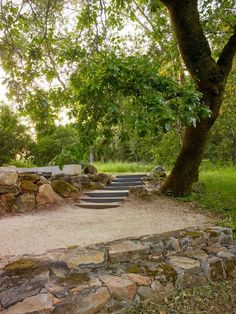 steps lead up to the top of a rock wall in a wooded area with trees