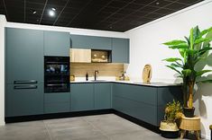 a kitchen with green cabinets and a potted plant