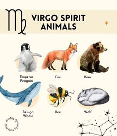 zodiac signs with different animals and their names