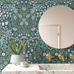 a bathroom sink with a mirror above it and a potted plant on the counter