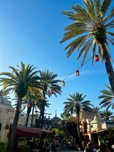 palm trees line the street in front of shops and restaurants at disney's hollywood studios