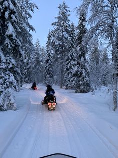 two people on snowmobiles going down a snowy road in the woods at dusk