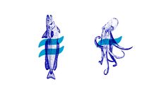 an image of two squids with blue arrows pointing to the opposite side of them