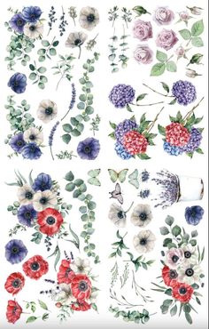 an assortment of flowers and leaves on a white background