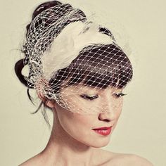 a woman wearing a birdcage veil over her head