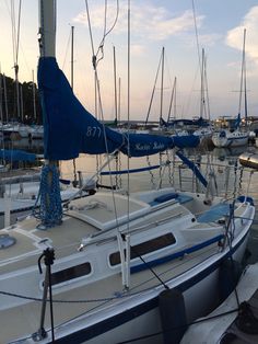 several sailboats are docked in the water at sunset or dawn, with blue and white sails