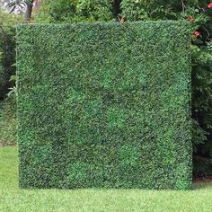 a tall boxwood hedge is in the grass