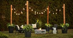 an outdoor fire pit surrounded by potted plants and string lights on a fenced in lawn