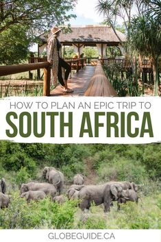 the cover of how to plan an epic trip to south africa