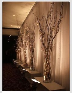 two screenshots of vases with branches and lights in them, one is on the