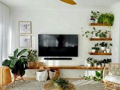 a living room filled with lots of plants next to a flat screen tv mounted on a wall