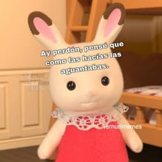 a stuffed rabbit in a red dress with the caption, my peron, pense que que como las hacias las agrantatababasas