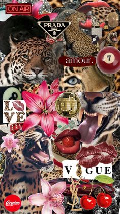 the collage is made up of many different pictures and words, including leopards