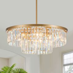 a chandelier hanging from a ceiling in a living room with potted plant