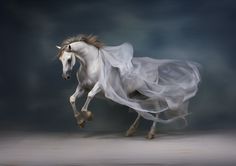 a white horse is galloping through the air with long flowing fabric on it's body