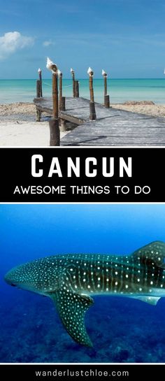 two pictures with the words cancun and an image of a whale in the ocean