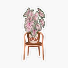 a potted plant sitting on top of a wooden chair with pink and green leaves