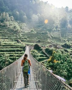 a woman walking across a suspension bridge over a valley filled with trees and grass covered hills