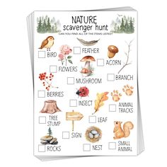 a nature scavenger hunt with animals and plants