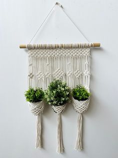 three plants are hanging on a wall with macrame and rope attached to them