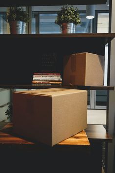 a brown box sitting on top of a wooden shelf next to a plant and books