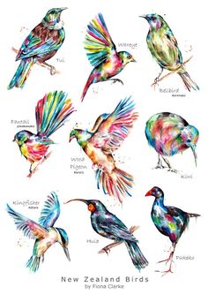 the new zealand birds are painted with watercolors and then have their names on them