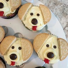 cupcakes shaped like dogs with white frosting and chocolate chips on them, sitting on a plate