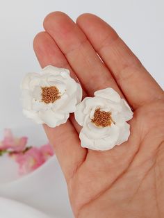 a hand holding two small white flowers