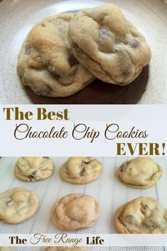 the best chocolate chip cookies ever