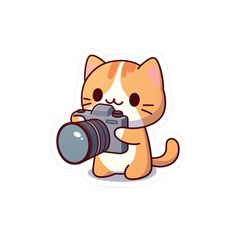 an orange and white cat holding a camera