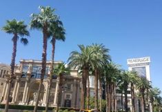 palm trees line the street in front of a large building with a sign on top