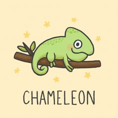 a green chamelon sitting on top of a tree branch