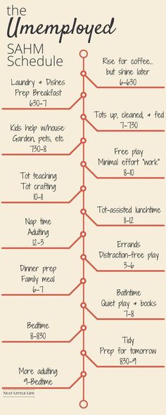 a poster with the names and numbers for different types of people's lifecycles