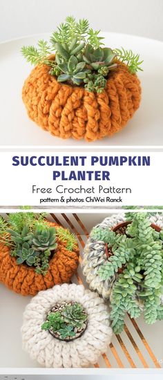 crochet pumpkin planters with succulents in them on a plate